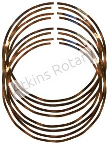 20B Rotary Oil Ring Spring Kit