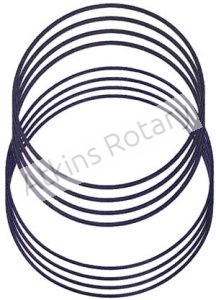 69-11 Atkins' Rotary Viton Oil Ring Inserts (ARE15)